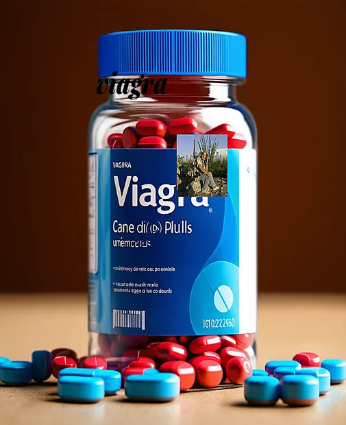 Comprar viagra en la ciudad de la plata